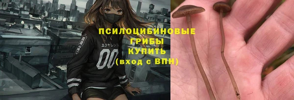 амф Белокуриха