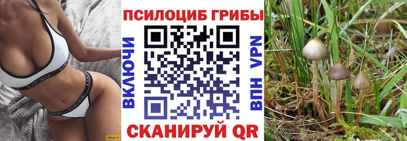 Псилоцибиновые грибы Psilocybine cubensis  Высоцк 