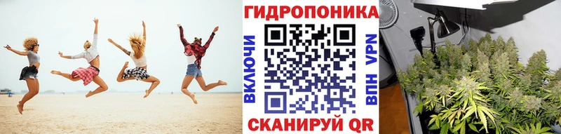 цены наркотик  Высоцк  Канабис ГИДРОПОН 